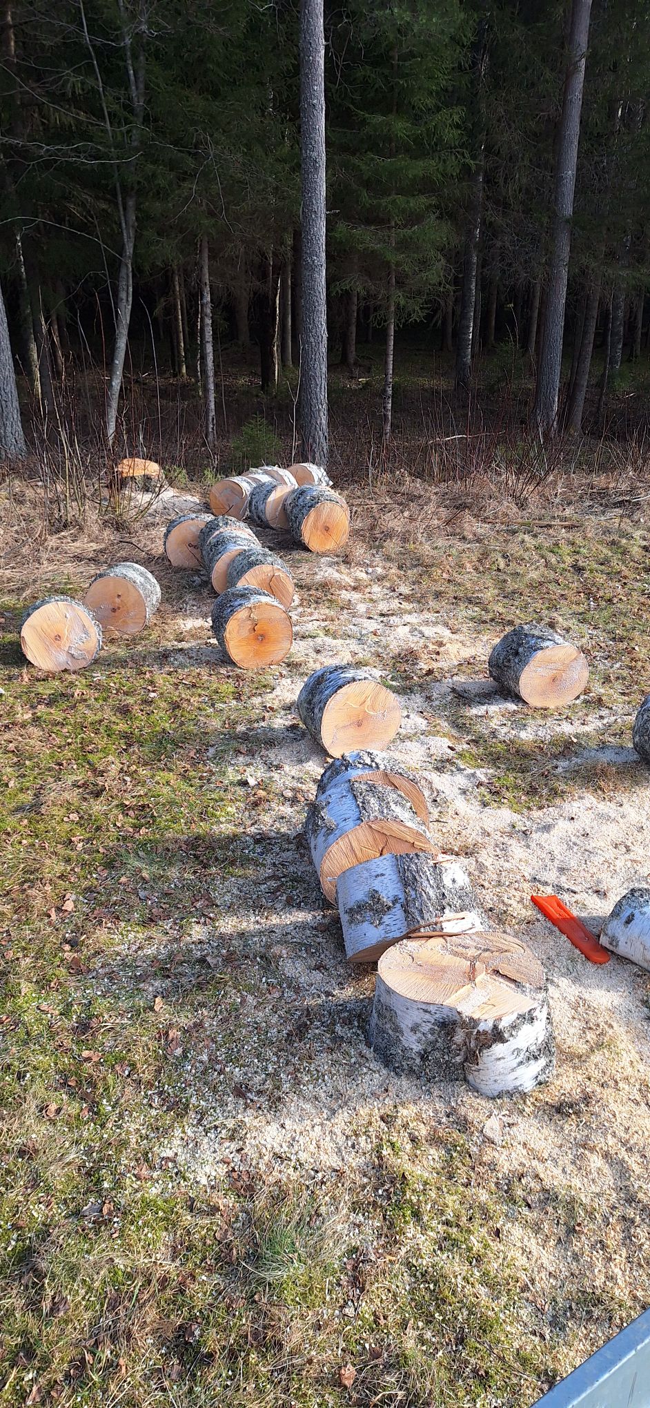 De kettingzaag, een flinke work-out