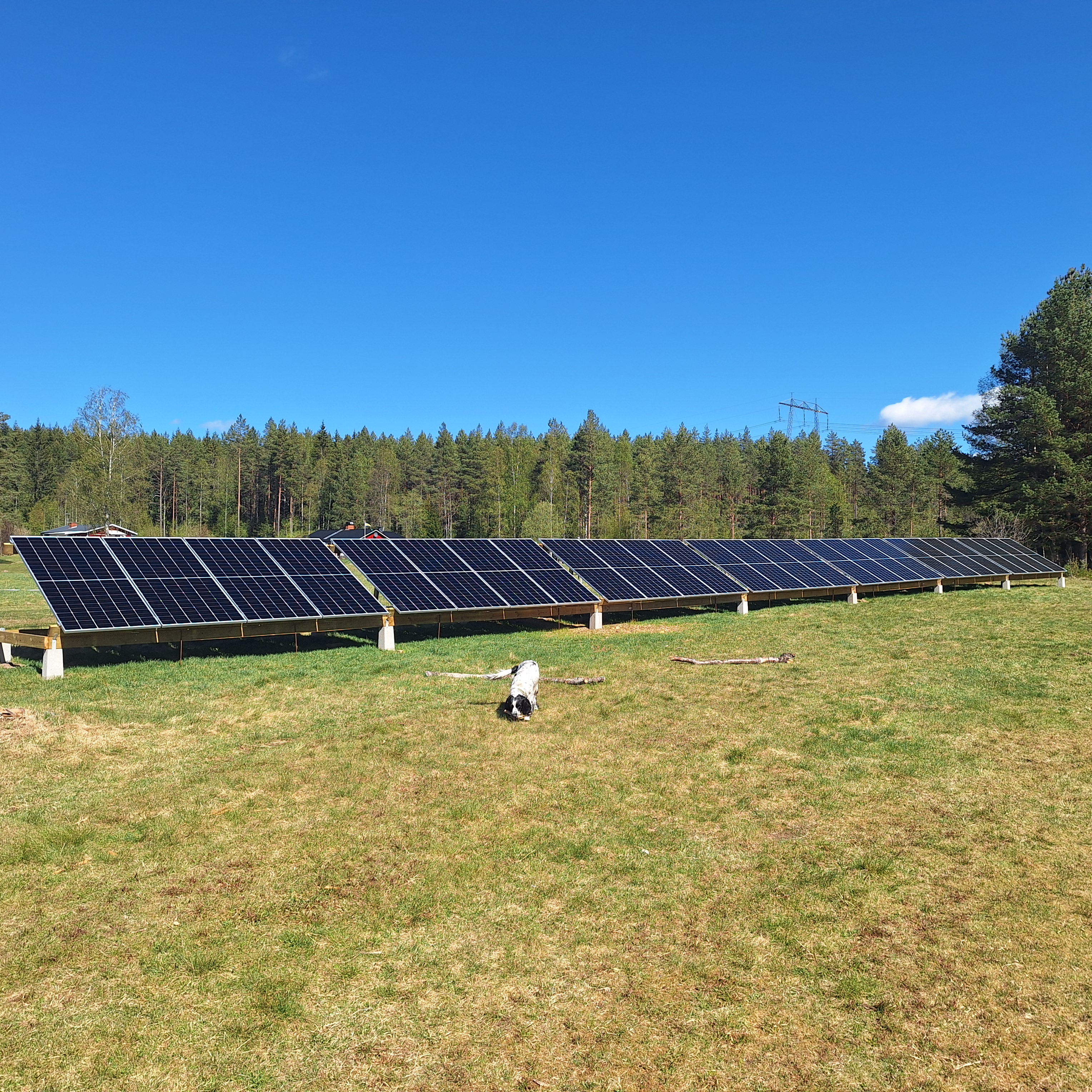 Solenergi, del 1 av 3, är klar och den första gruppen är redo för terapi!